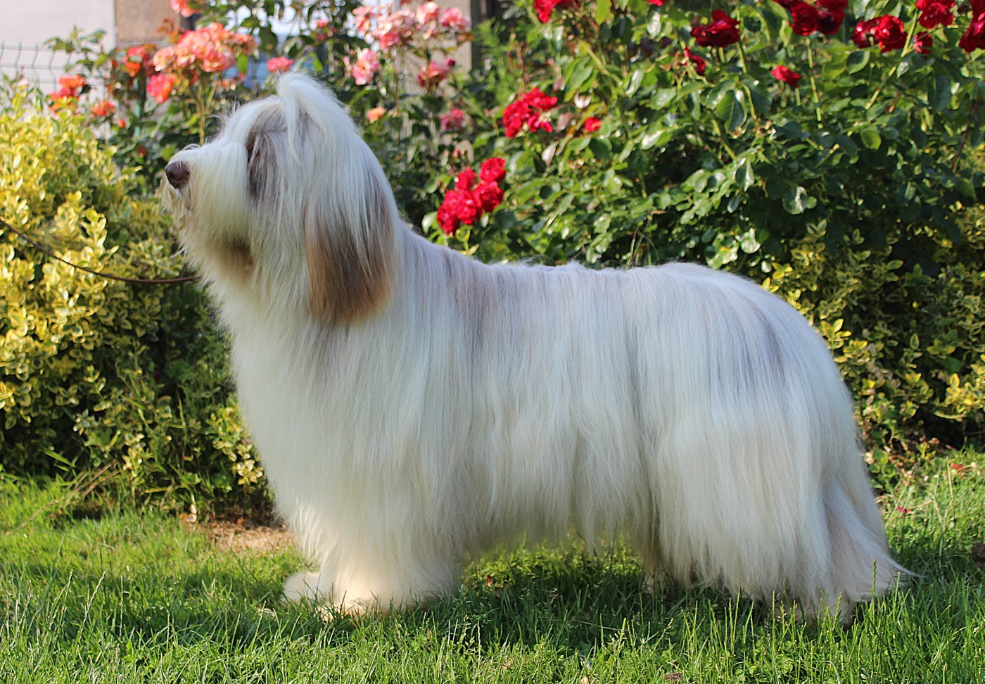 CH. Clic's HIGHWAY TO THE FUTURE